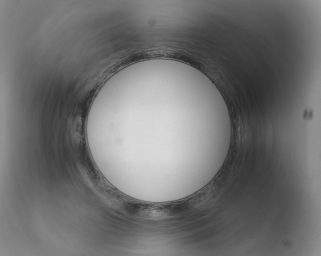 X0000110770498200906150957