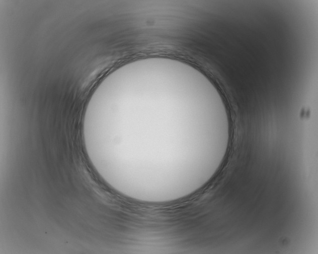 X0000110770501200906150957