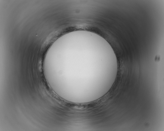 X0000110770502200906150957