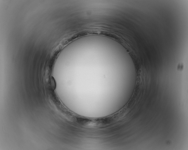 X0000110770504200906150957
