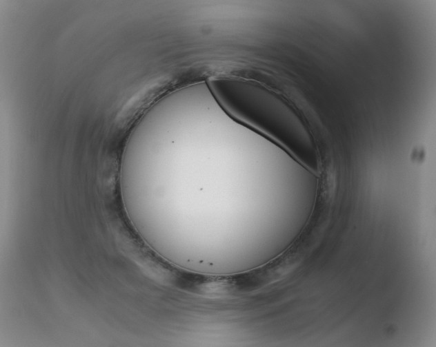 X0000110770505200906150957