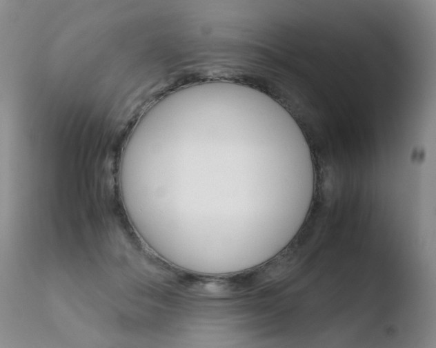 X0000110770506200906150957