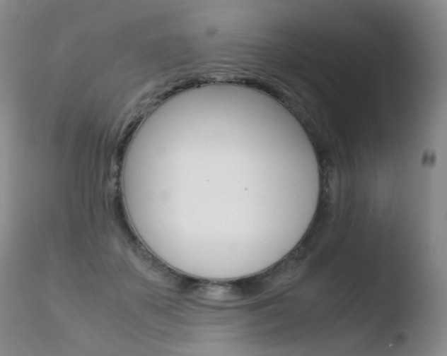 X0000110770507200906150957