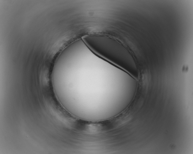 X0000110770508200906150957