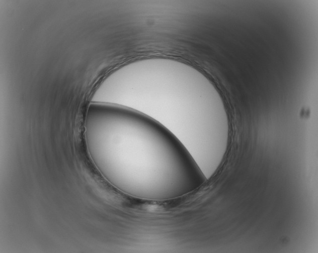 X0000110770509200906150957