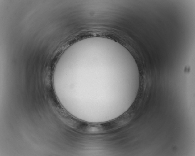 X0000110770510200906150957