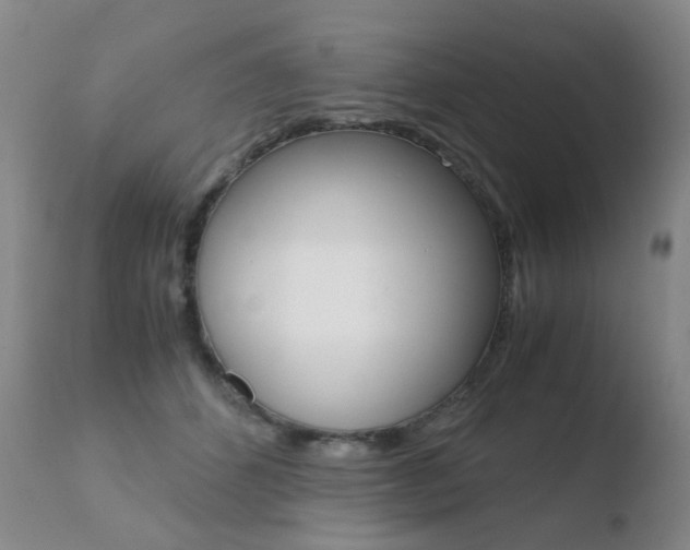 X0000110770512200906150957
