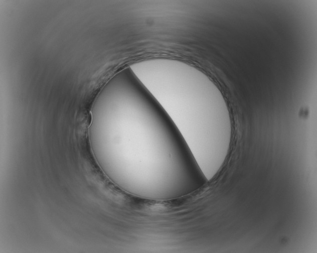 X0000110770513200906150957
