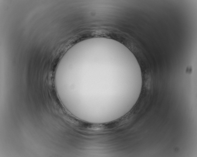 X0000110770514200906150957