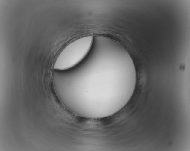 X0000110770515200906150957