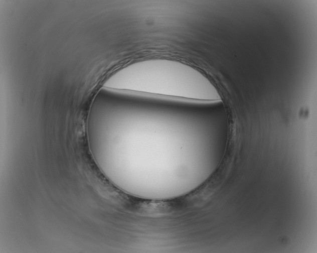 X0000110770517200906150957