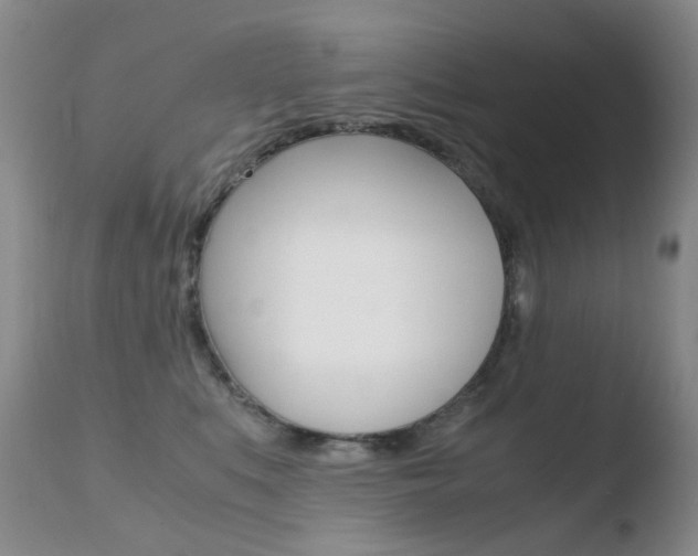 X0000110770519200906150957