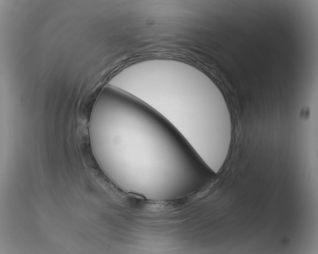 X0000110770521200906150957