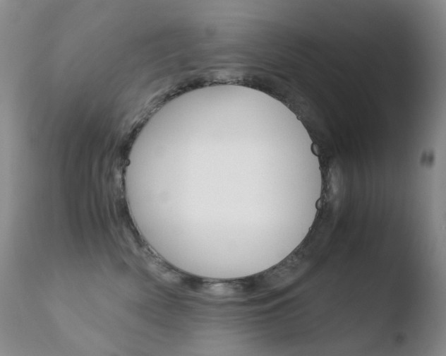 X0000110770522200906150957