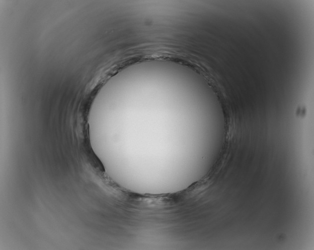 X0000110770524200906150957