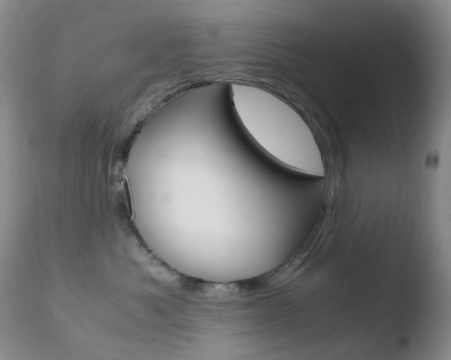 X0000110770525200906150957