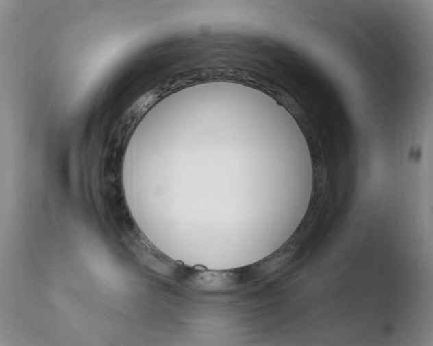 X0000110770526200906150957