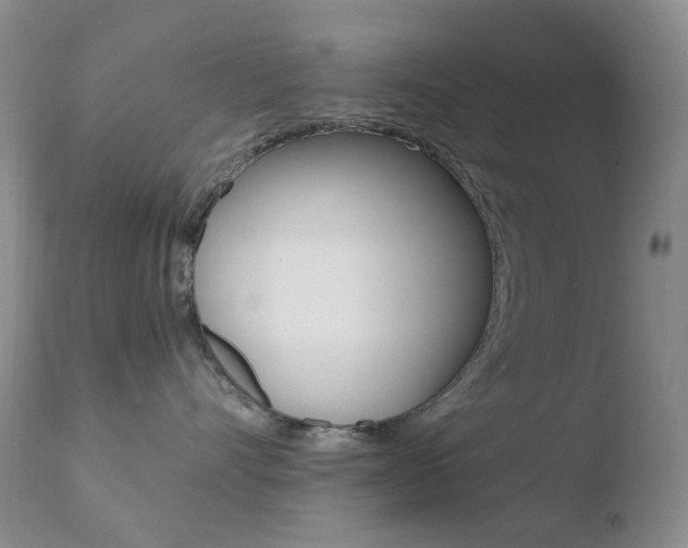 X0000110770528200906150957