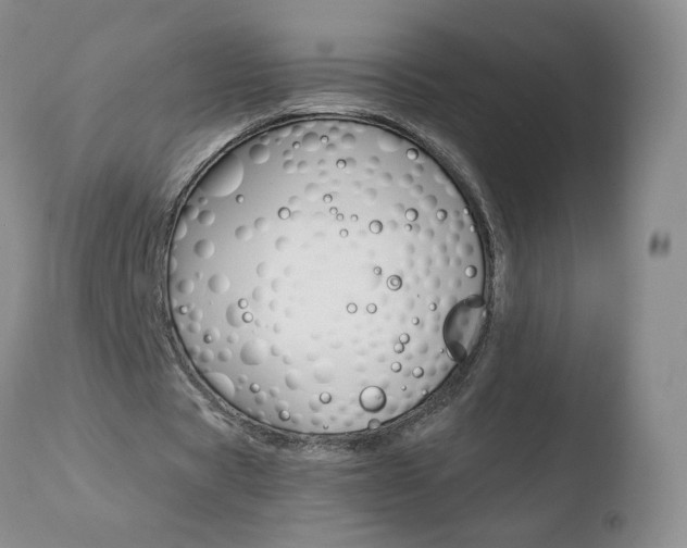 X0000110770529200906150956