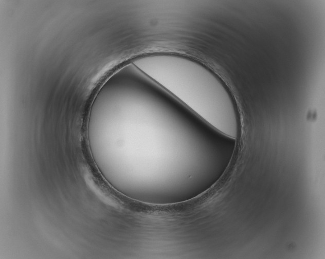 X0000110770530200906150956