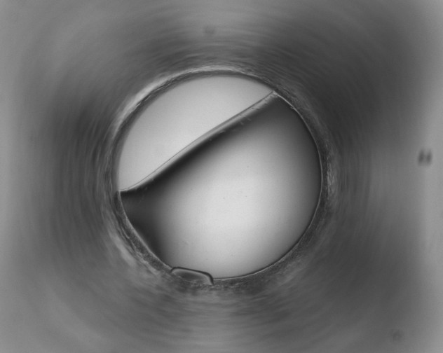 X0000110770532200906150956