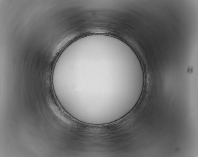 X0000110770533200906150956