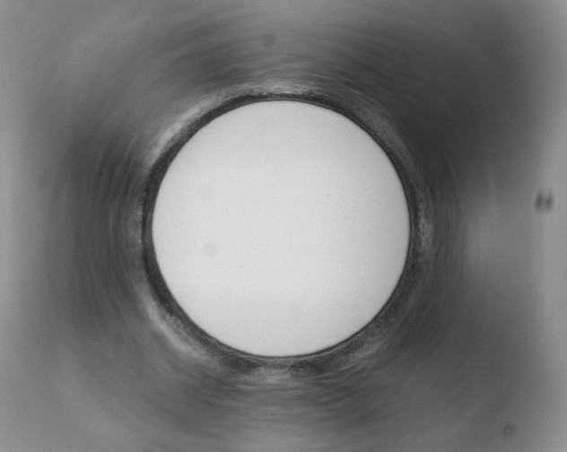 X0000110770534200906150956
