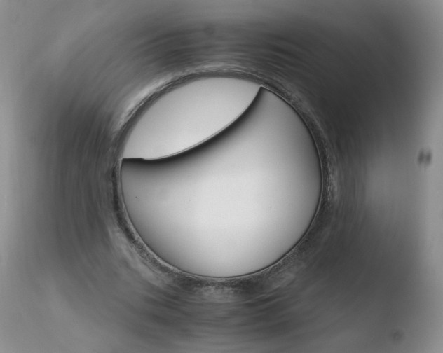 X0000110770535200906150956