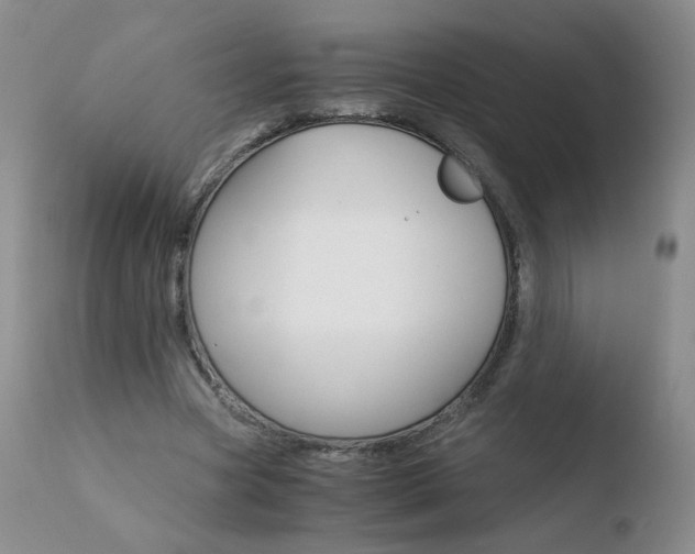 X0000110770537200906150956