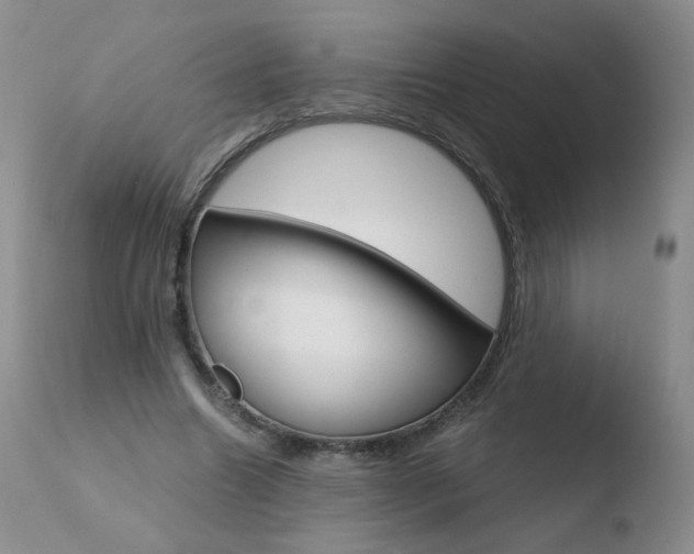X0000110770538200906150956