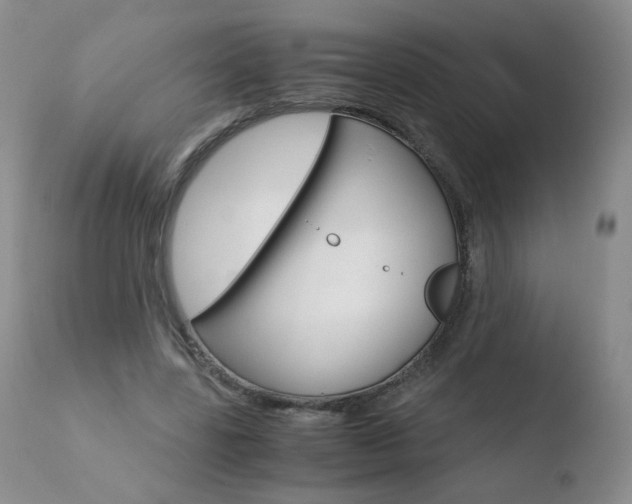 X0000110770539200906150956