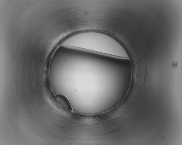 X0000110770540200906150956