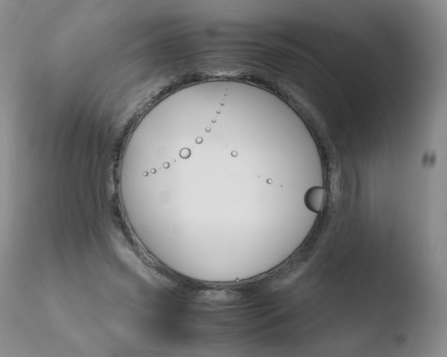 X0000110770541200906150956