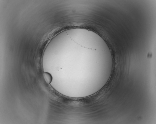 X0000110770542200906150956