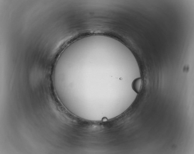 X0000110770543200906150956