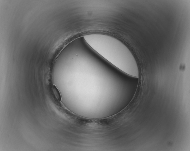 X0000110770544200906150956