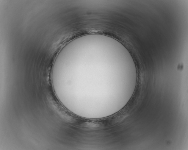 X0000110770545200906150956