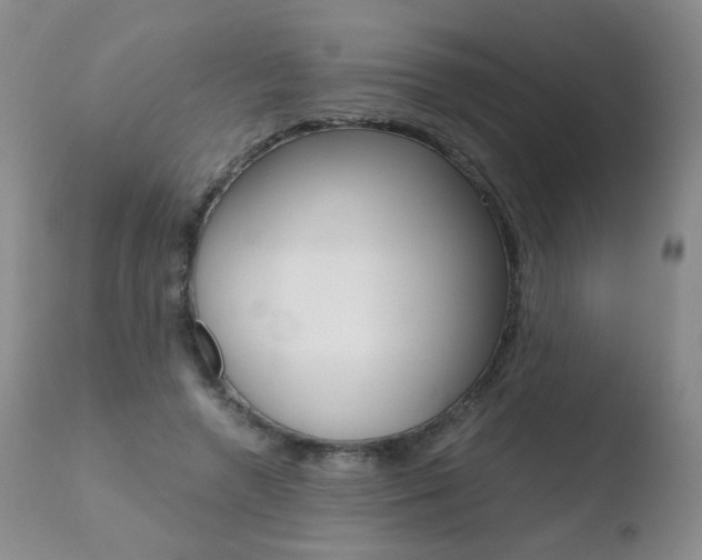 X0000110770546200906150956