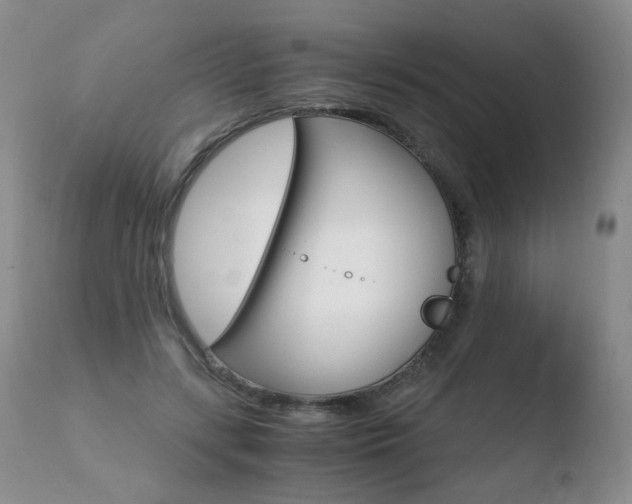 X0000110770547200906150956