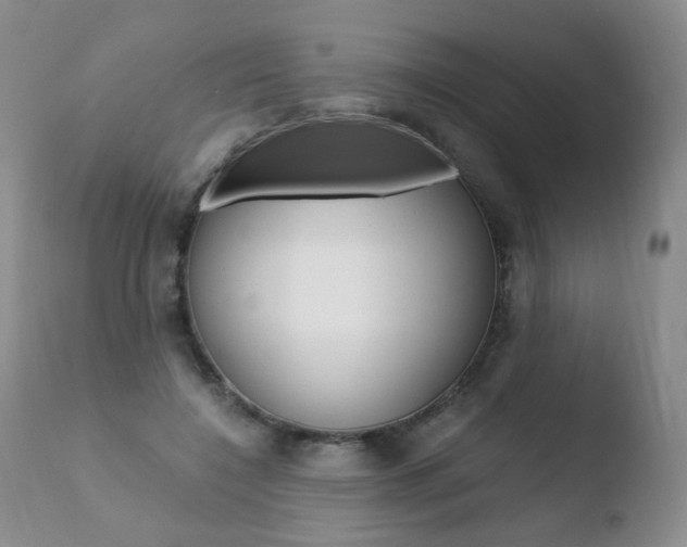 X0000110770548200906150956