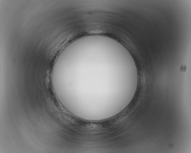X0000110770549200906150956