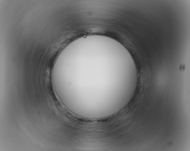 X0000110770550200906150956