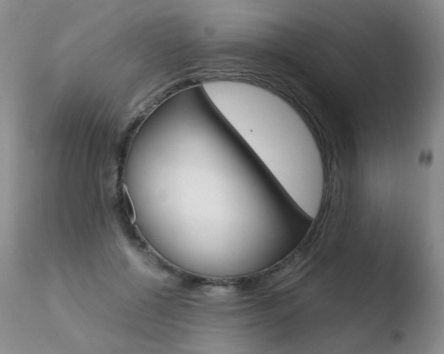 X0000110770552200906150956
