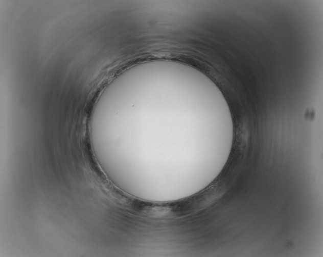 X0000110770554200906150956