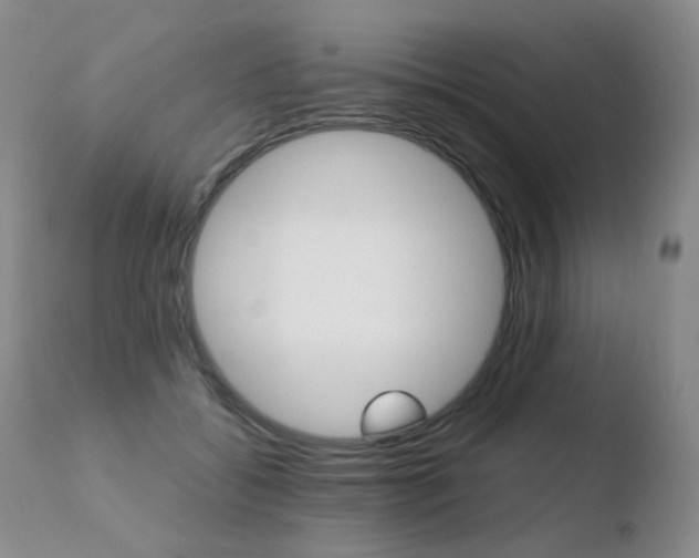 X0000110770556200906150956