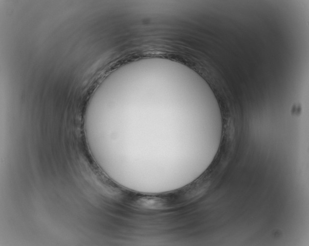 X0000110770557200906150956