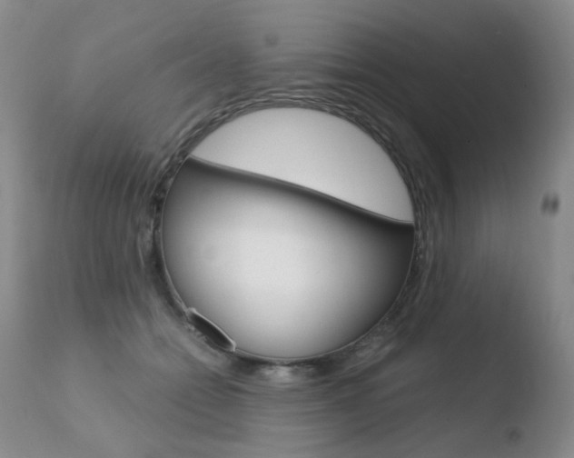 X0000110770558200906150957