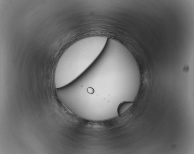 X0000110770559200906150957