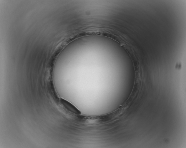 X0000110770560200906150957