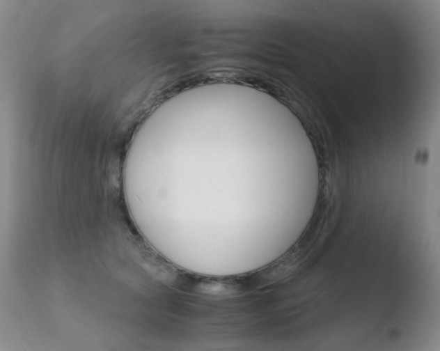 X0000110770561200906150957